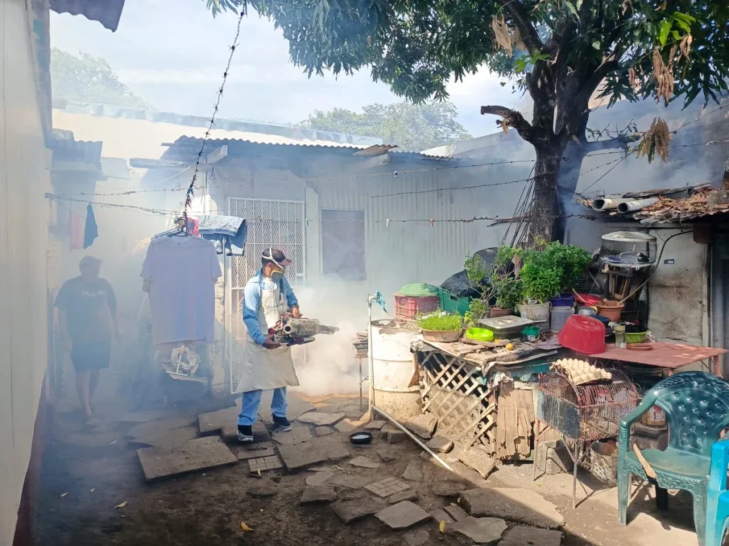 zancudo