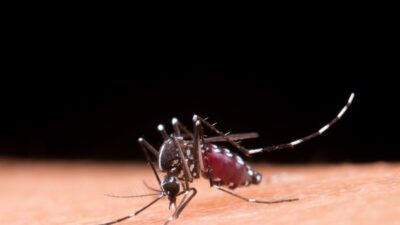 Costa Rica supera los 2,800 casos de dengue y registra un aumento del 25%