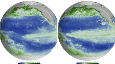 Alerta de la NASA por “efectos en cadena” en el Pacífico