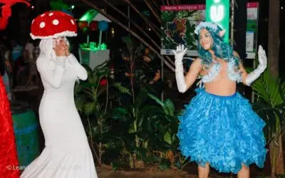 Familias disfrutan el cierre mágico de “Naturaleza Encendida”