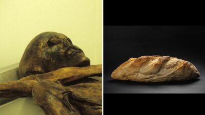 La sorprendente contribución del hombre de hielo de 5.300 años