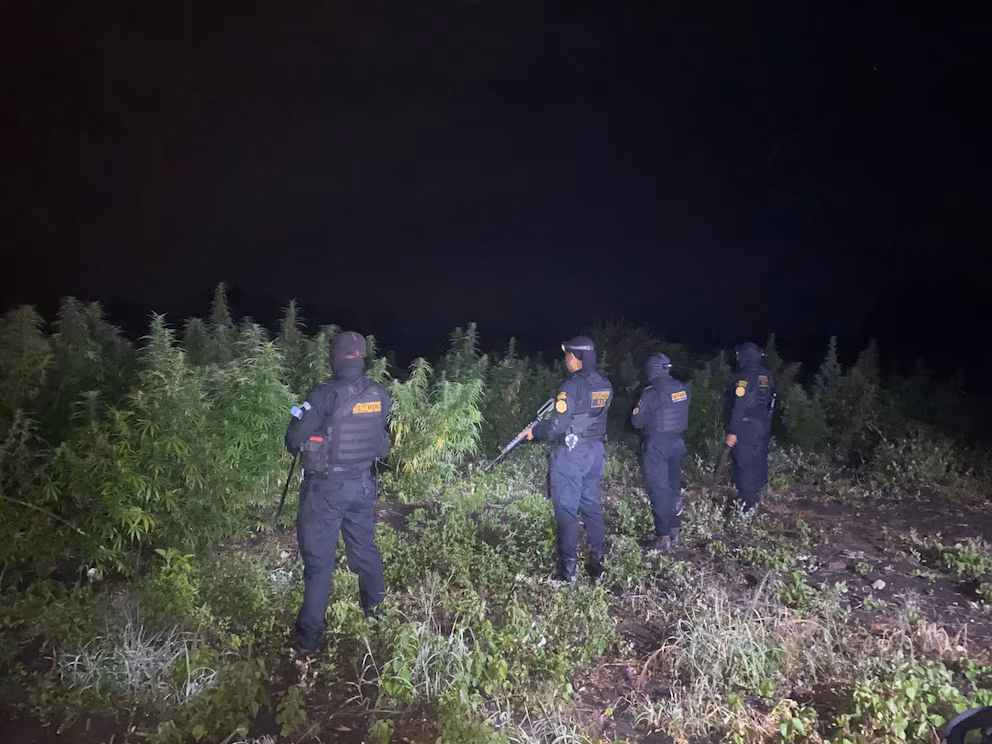 Operativo antidrogas 