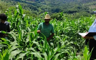 INTA realiza acompañamiento técnico a productores