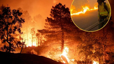 Tragedia en España: incendio forestal cobra al menos 12 vidas.