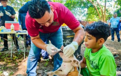 Estudiantes universitarios se unen a jornada de salud animal en Chinandega