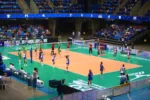 Voleibol