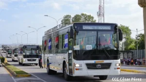 Ingresa a Managua nueva flota de buses Yutong