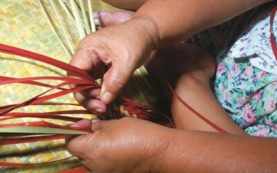 Agenda de actividades culturales del 16 al 30 de Noviembre