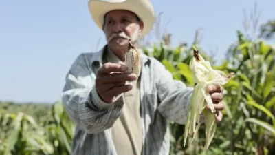 Productores salvadoreños enfrentan fuertes pérdidas por el fenómeno El Niño