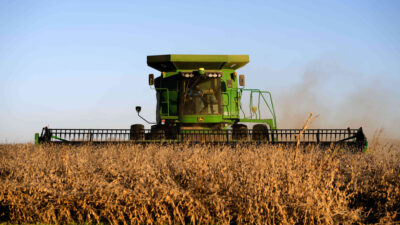 Una nueva amenaza pone en riesgo la agricultura mundial y encarece los alimentos