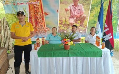 INTA realiza taller sobre instalación de Apiarios