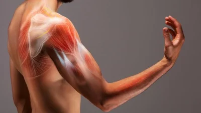 Nuevo estudio ofrece esperanza contra la pérdida muscular