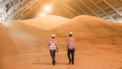 La producción brasileña provoca un alza en el precio del azúcar