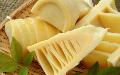 El bambú un subestimado con verdaderos beneficios para la salud