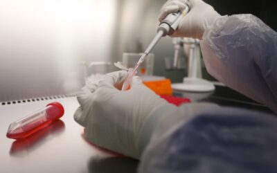 Rusos crean nuevo biomaterial que permitiría restaurar componentes del tejido óseo