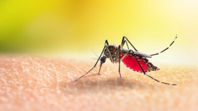 Emergencia en EE.UU. por brote de virus inusual