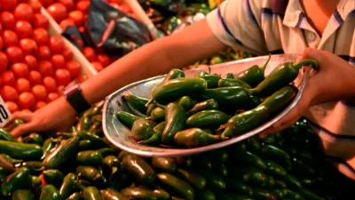 Crece brote de salmonela en EE.UU. vinculado a chiles jalapeños de origen mexicano