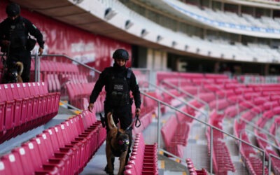 Encuentran 456 bolsas con restos humanos alrededor de un estadio mundialista en México