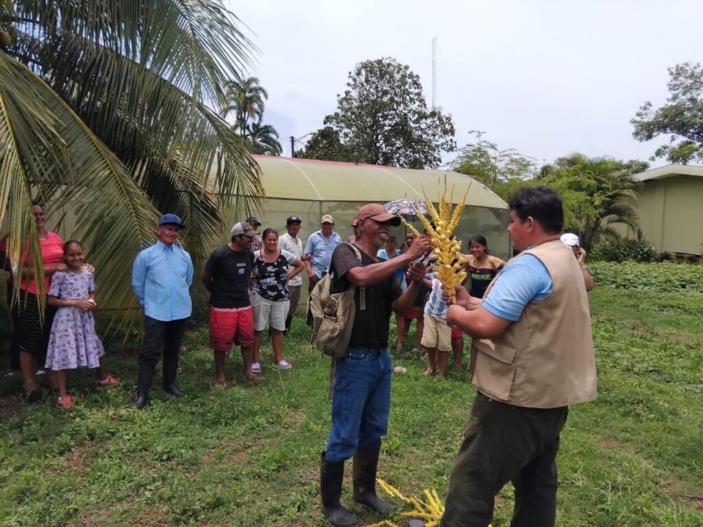 producción 