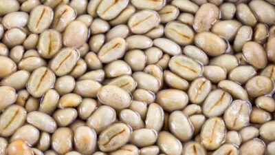 Mujeres colombianas convierten residuos del café en yogur