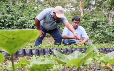 San Juan del Río Coco contará con moderna Escuela de Café para fortalecer producción cafetalera