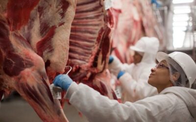 E.E.U.U. amplía las compras de carne Argentina