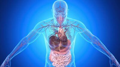 Investigación revela posible vínculo entre hígado graso y cáncer de colon letal