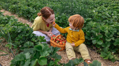 La fruta del verano con grandes beneficios para la salud