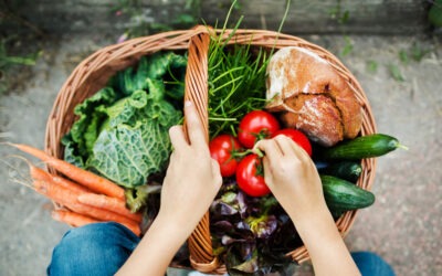 Tu cuerpo como laboratorio para encontrar la dieta que funciona