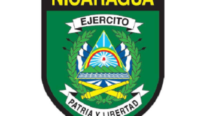 Ejercicios de preparación combativa