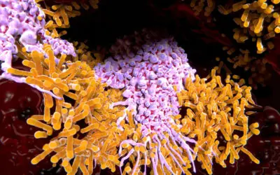 La tuberculosis cobra vida de más de un millón de personas cada año