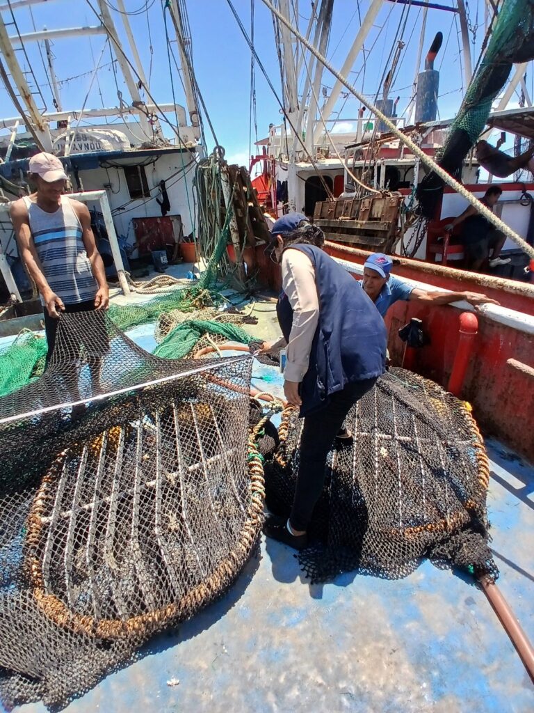 pesca