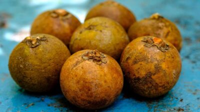 América Latina apuesta por una fruta como combustible de aviación