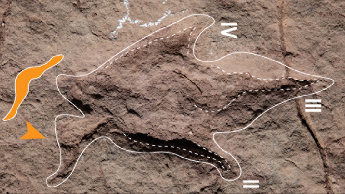 El mayor hallazgo de huellas de dinosaurios en el centro de Bolivia