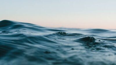 El océano registra temperaturas históricas y preocupa a la comunidad científica
