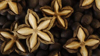 El nuevo superalimento que nace de una semilla en forma de estrella