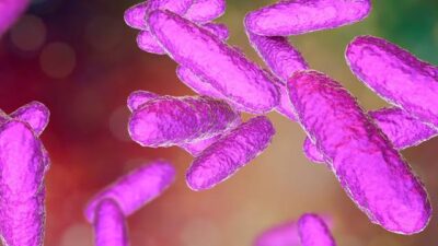 EE.UU. y Reino Unido, en alerta por una infección sexual