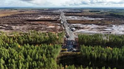 Sacrificarían 250.000 árboles por un centro de datos de Google en Europa