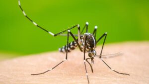 Menos enfermos de Malaria e Influeza