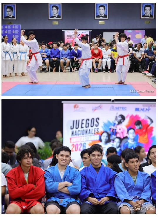 Juegos Universitarios