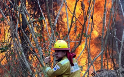 Incendio arrasa hectáreas en la frontera de Bolivia y Paraguay