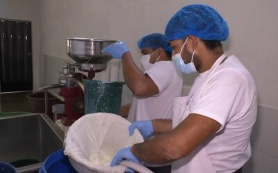 Producción láctea supera los 12 millones de litros a septiembre de 2025 en Nicaragua