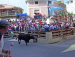 Un toro