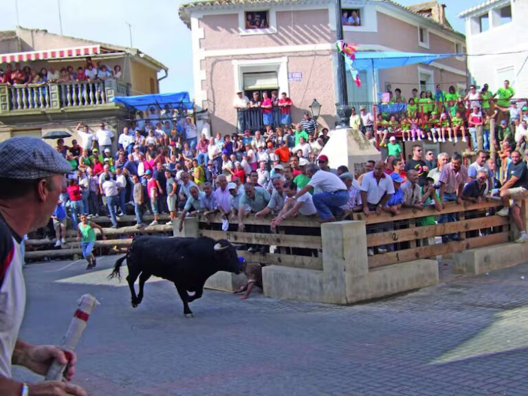 Un toro