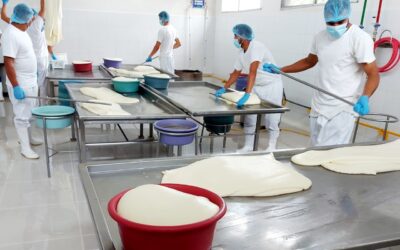 Producción y exportación de lácteos mayo 2025