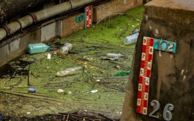 Cataluña inicia el primer análisis sobre microplásticos en sus aguas