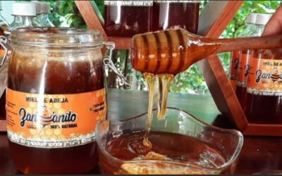 Producción de Miel de abeja en fincas y acopios 2025