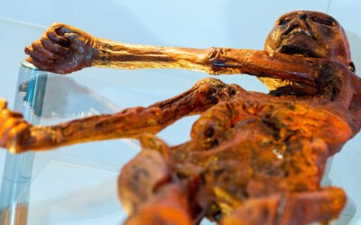 Momias de hasta 45.000 años revelan un virus asociado al cáncer