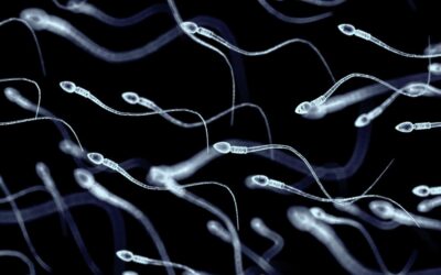 Una mutación genética en un donante de esperma puede causar cáncer a 200 niños