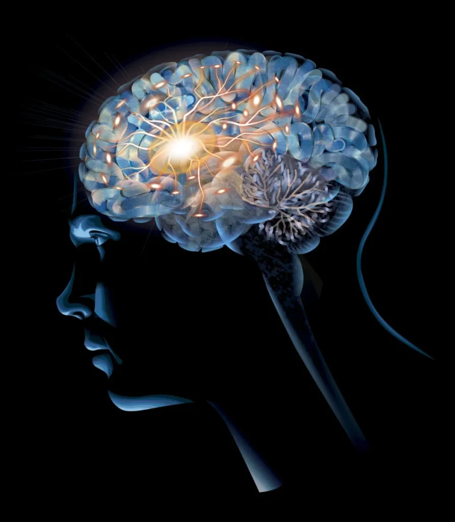 cerebro